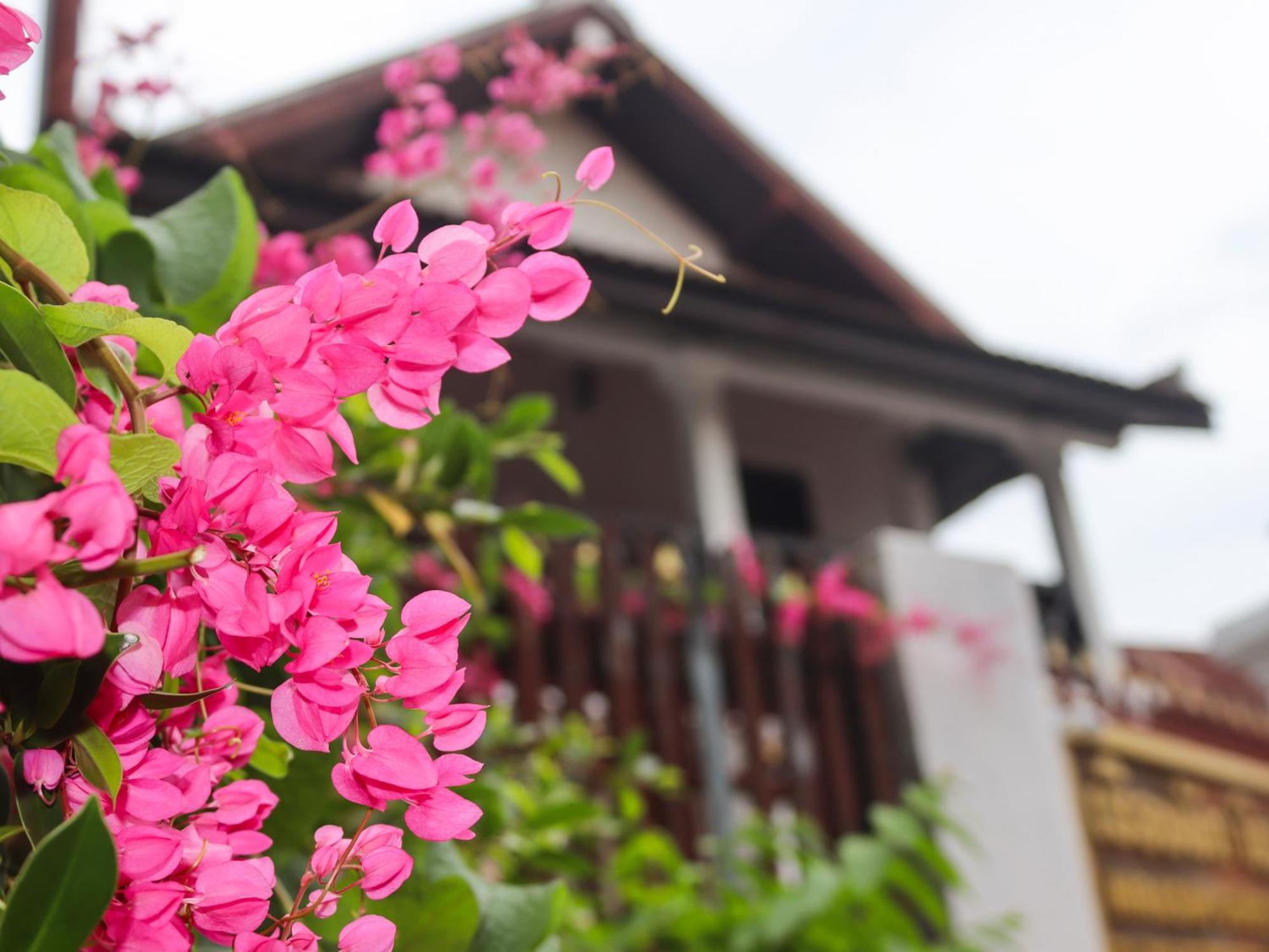 Nirasim Villa Luang Prabang Ngoại thất bức ảnh